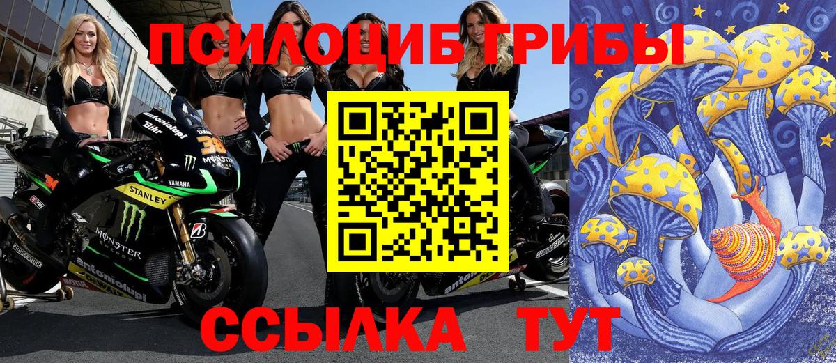 Псилоцибиновые грибы Psilocybine cubensis  Вход с VPN  Псилоцибиновые грибы Cubensis  дарнет шоп  Дедовск 